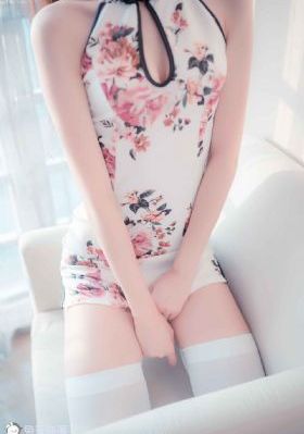 咸丰王朝之一帘幽梦 电视剧