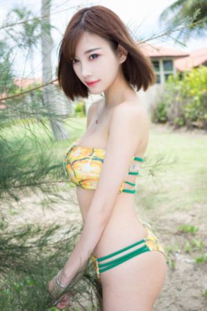 变形金刚2高清在线播放免费观看