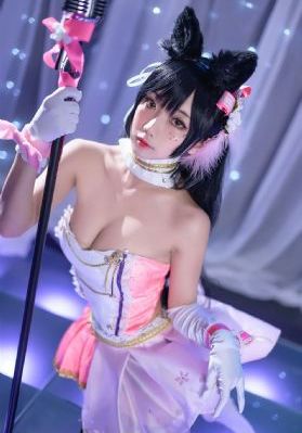 金瓶风月