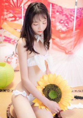 野花视频在线观看 视频